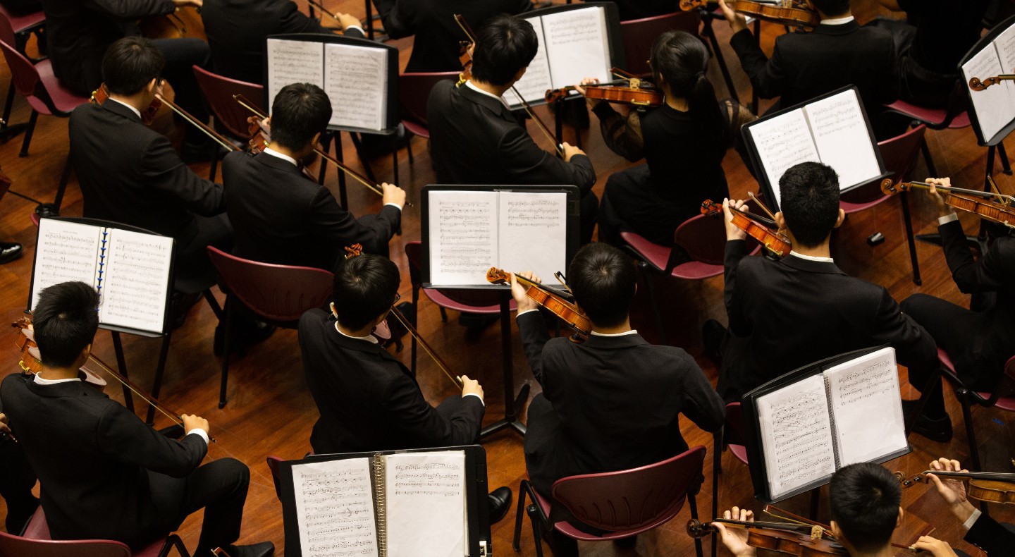 Violin section of an orchestra